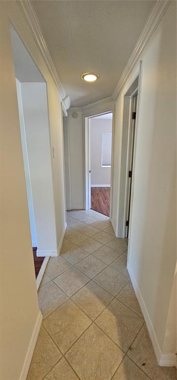 3125 19th Street North St. Petersburg, FL 33713 - Photo 8 of 14 a view of entryway with window and door