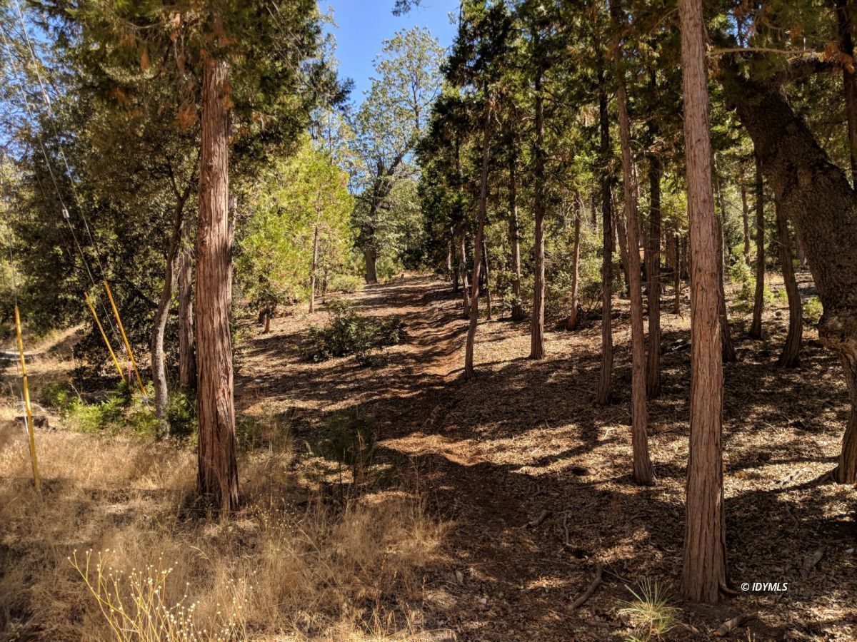 Middle Ridge Idyllwild, CA 92549 - Photo 11 of 11 a view of outdoor space with lots of trees