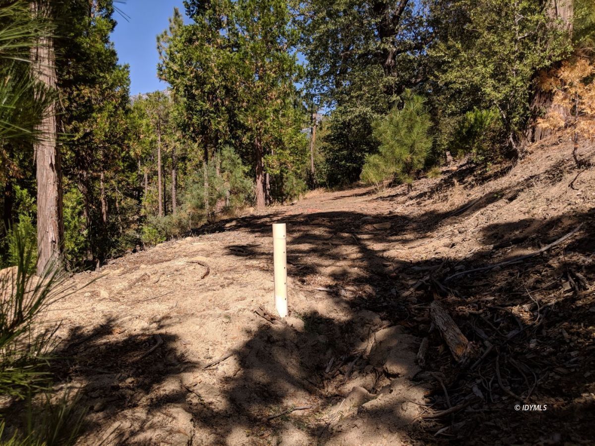 Middle Ridge Idyllwild, CA 92549 - Photo 7 of 11 a view of a yard with trees