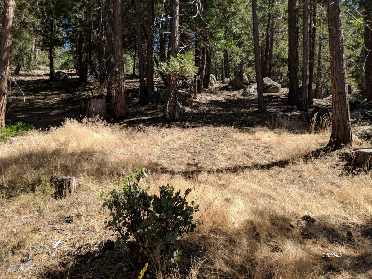 Middle Ridge Idyllwild, CA 92549 - Photo 8 of 11 a view of a backyard of the house