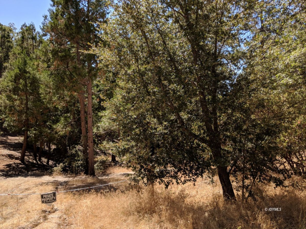 Middle Ridge Idyllwild, CA 92549 - Photo 9 of 11 a view of covered with snow