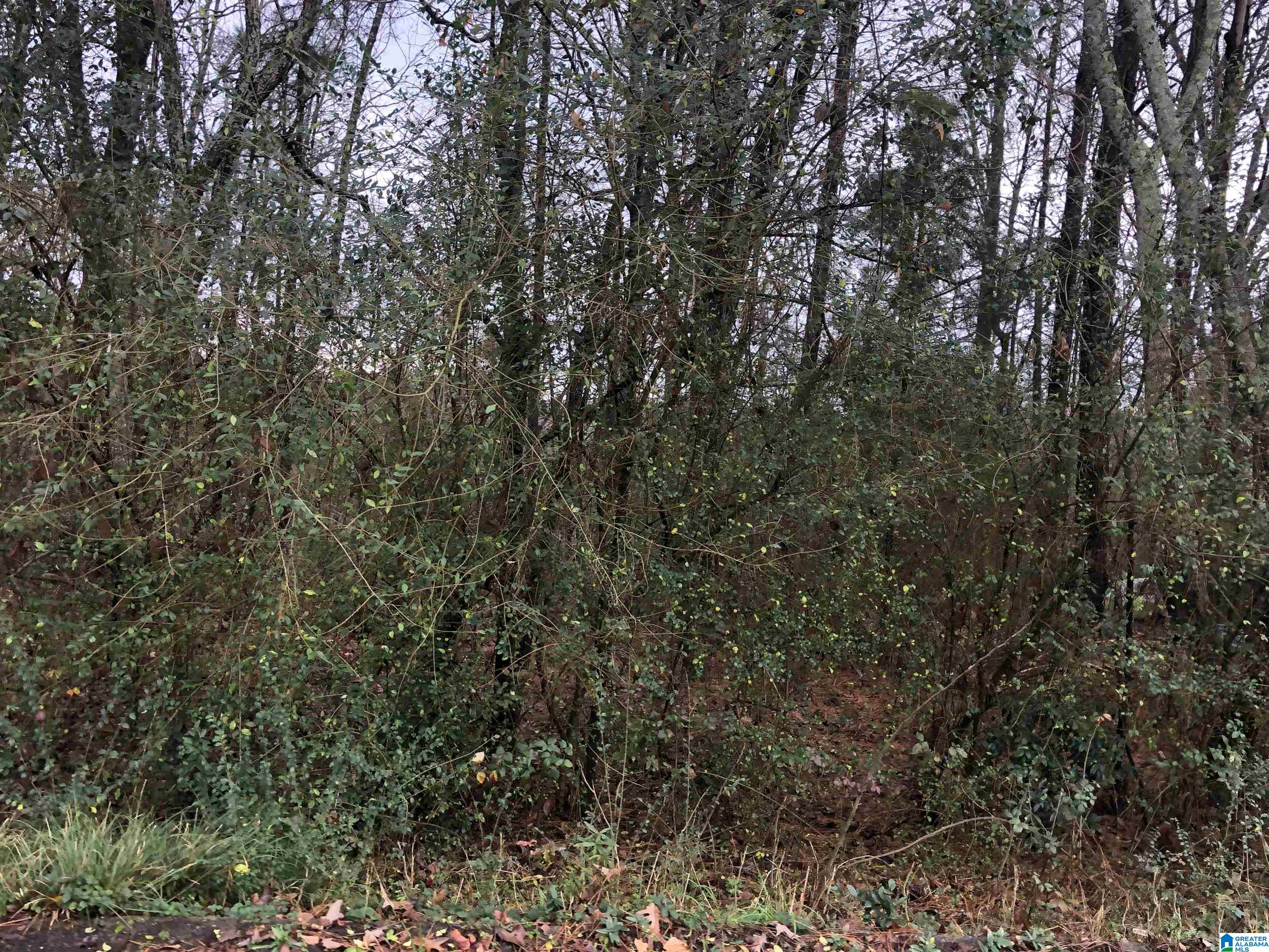 0 Autumn Ridge Trail, Unit 26 Pell City, AL 35128 - Photo 21 of 31