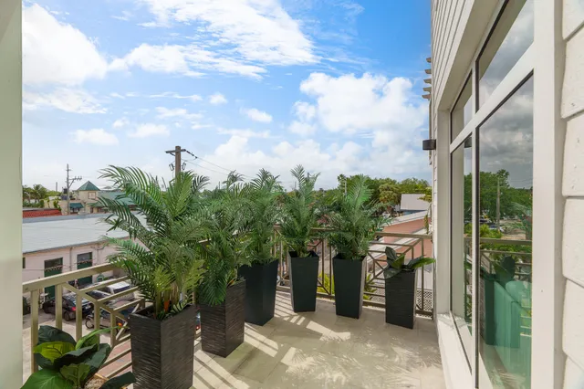a view of a potted plants with sky view