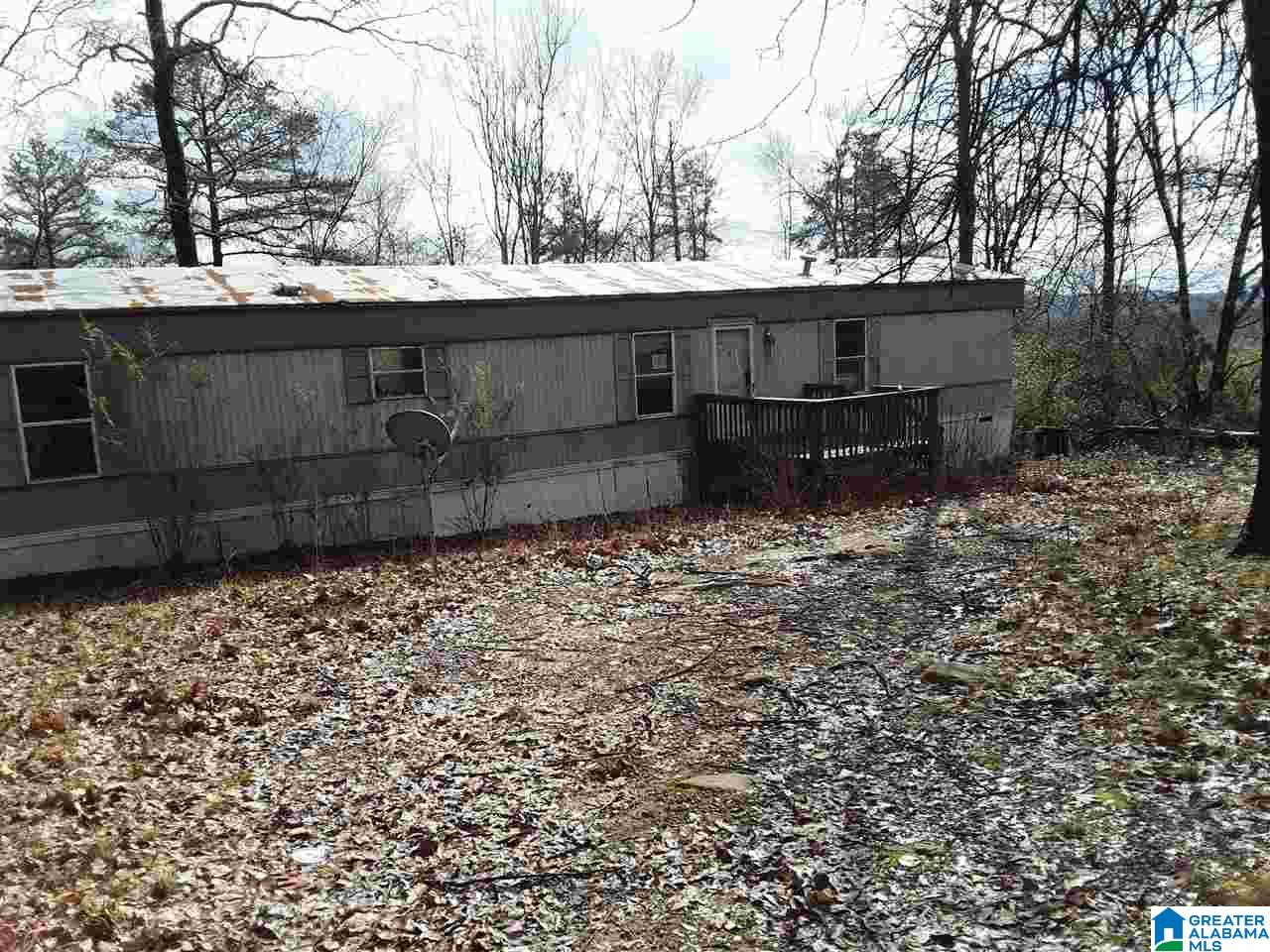 98 Lynch Lake Road Odenville, AL 35120 - Photo 1 of 6