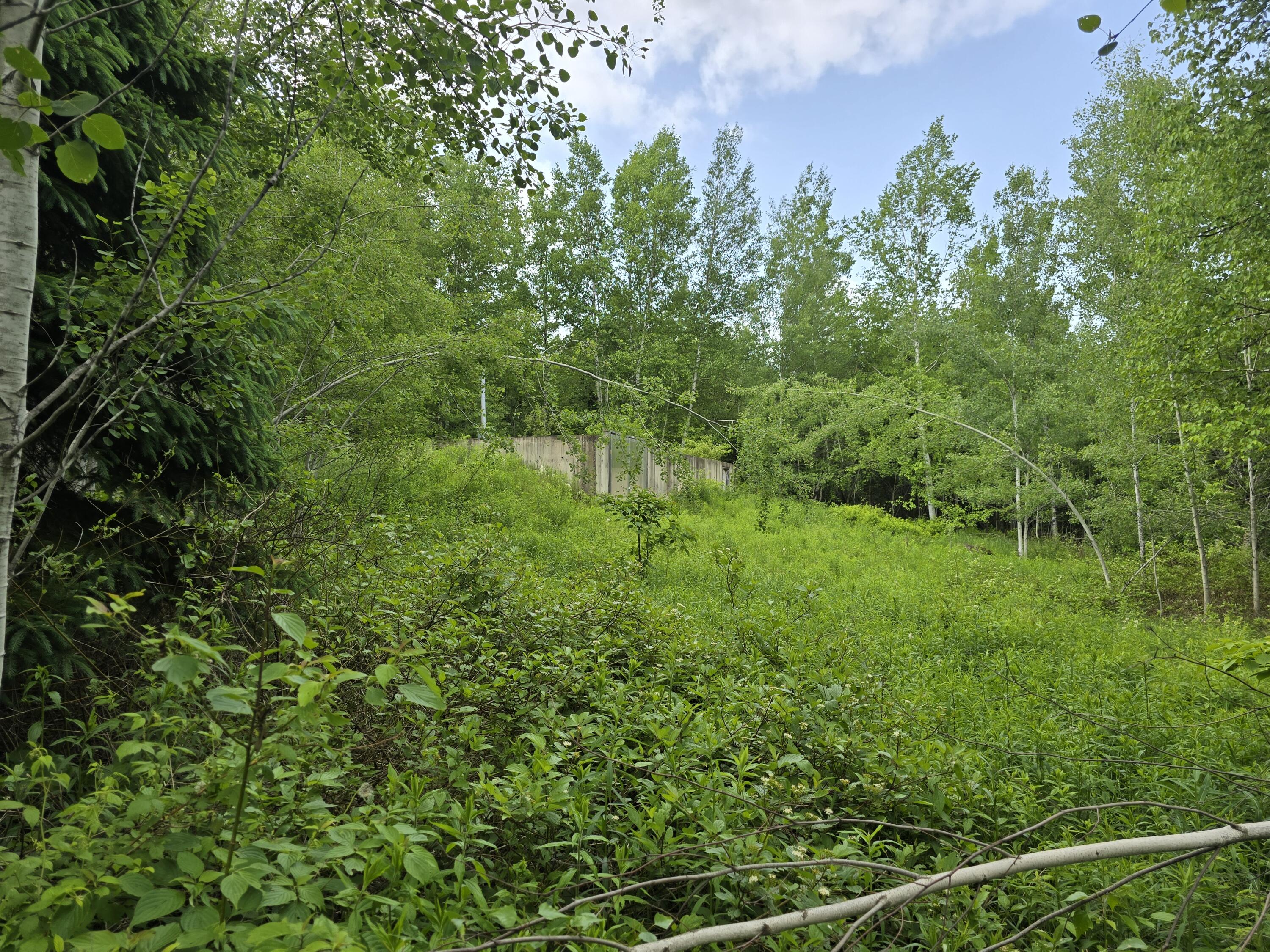 496 Fullerton Road Monticello, ME 04760 - Photo 13 of 30 20250613_155139