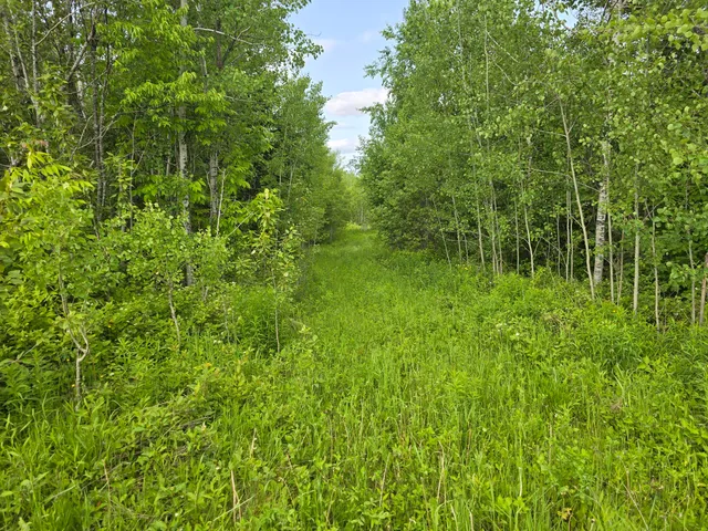 $99,500 | 496 Fullerton Road, Monticello, ME 04760