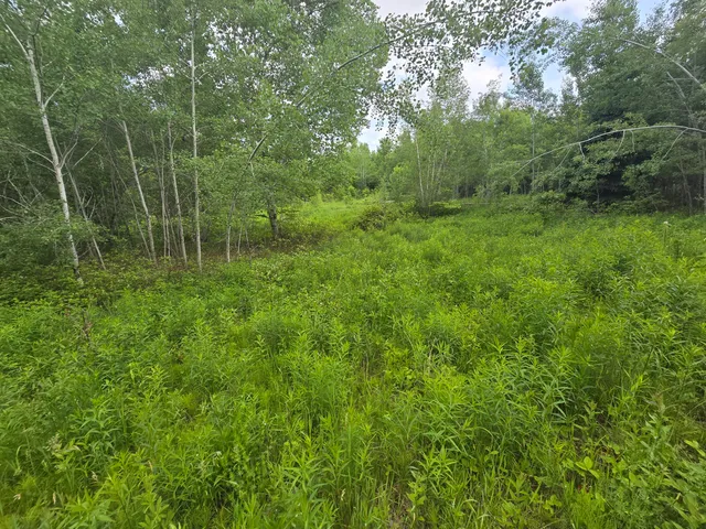 $99,500 | 496 Fullerton Road, Monticello, ME 04760