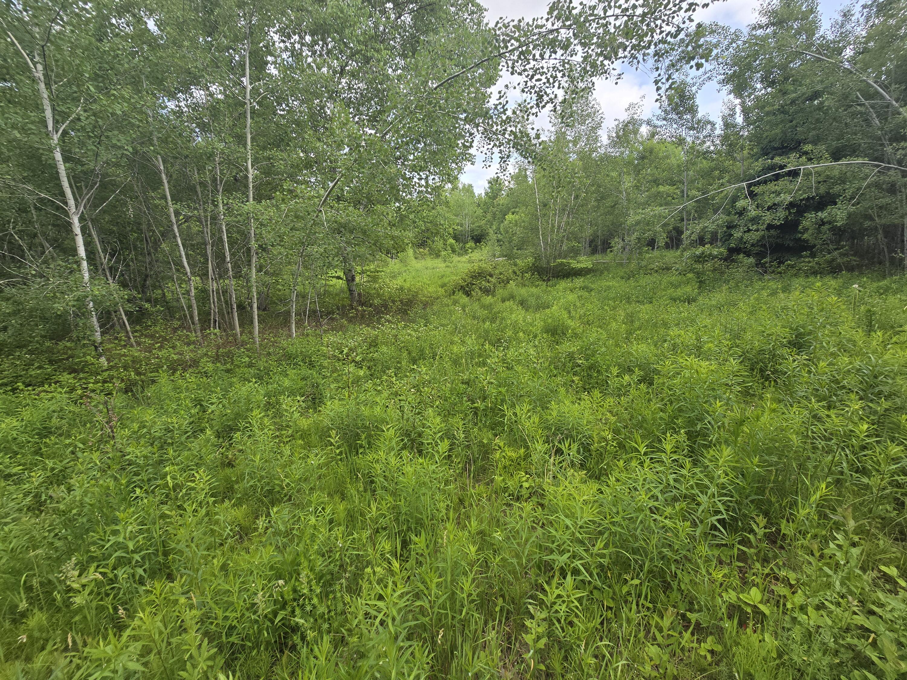 496 Fullerton Road Monticello, ME 04760 - Photo 15 of 30 20250613_155304