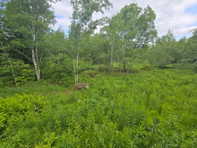 $99,500 | 496 Fullerton Road, Monticello, ME 04760