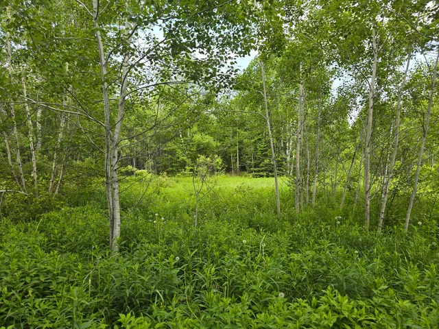 $99,500 | 496 Fullerton Road, Monticello, ME 04760