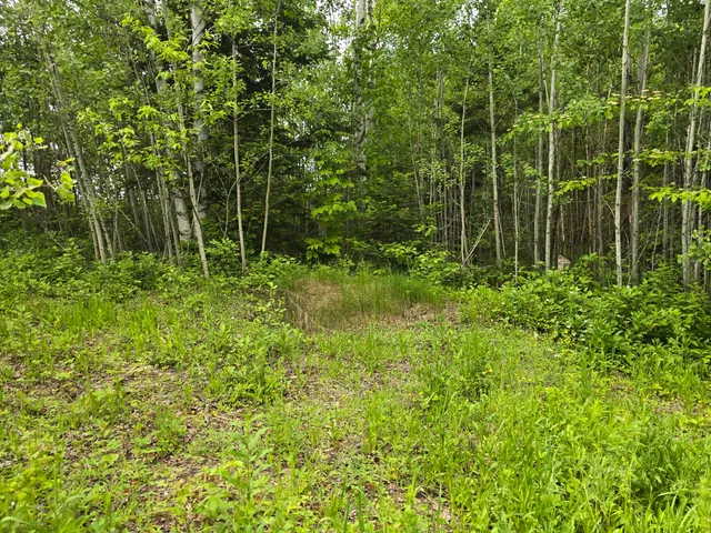 $99,500 | 496 Fullerton Road, Monticello, ME 04760