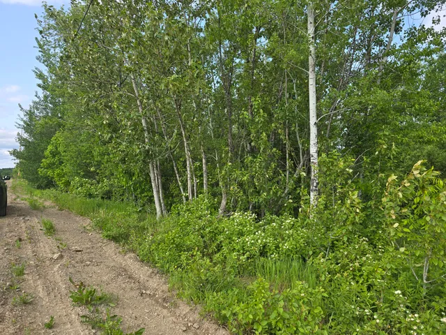 $99,500 | 496 Fullerton Road, Monticello, ME 04760