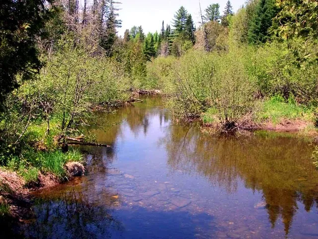 $99,500 | 496 Fullerton Road, Monticello, ME 04760