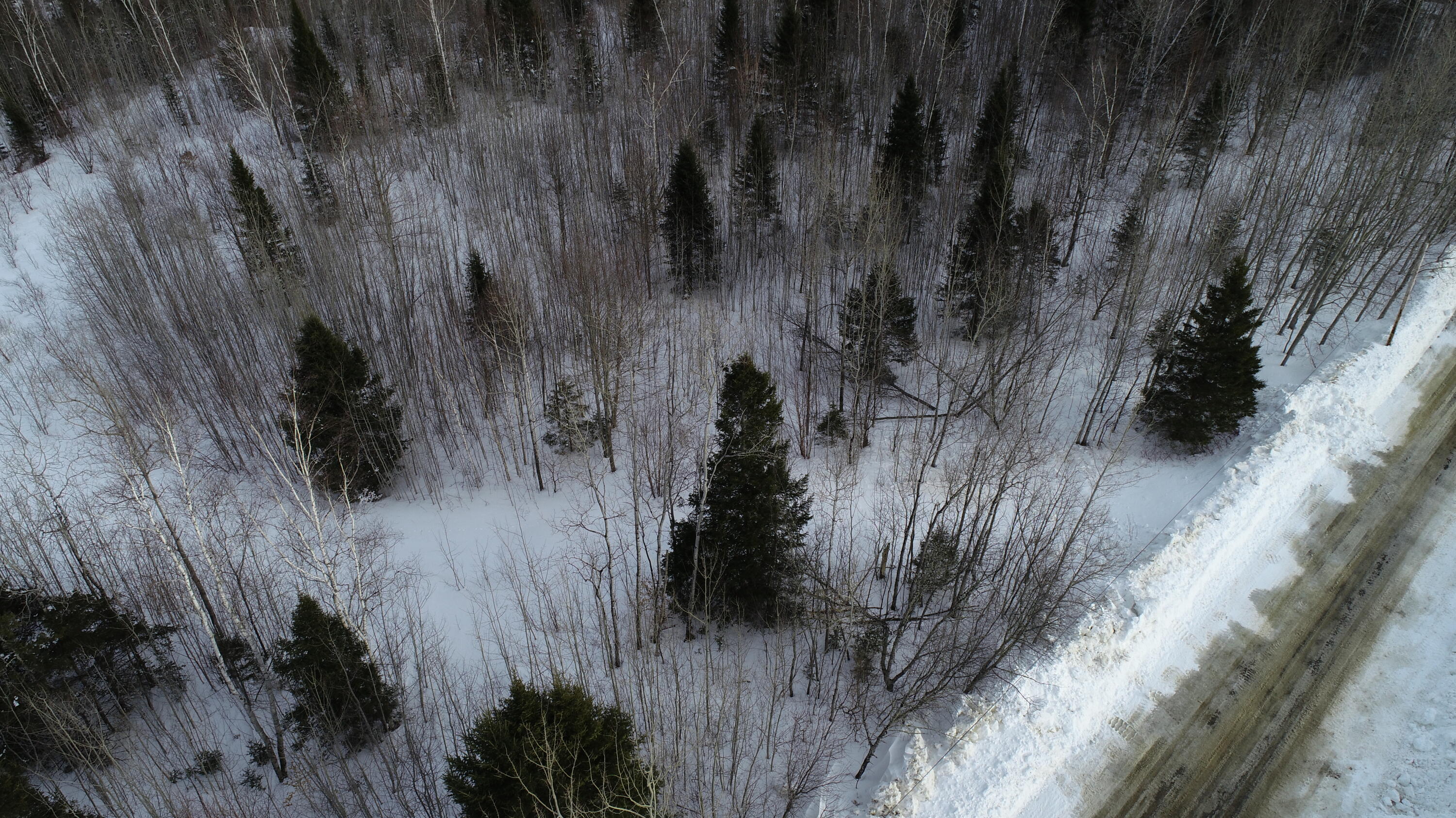 496 Fullerton Road Monticello, ME 04760 - Photo 27 of 30 DJI_0092