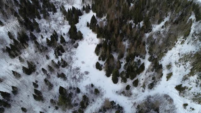 $99,500 | 496 Fullerton Road, Monticello, ME 04760