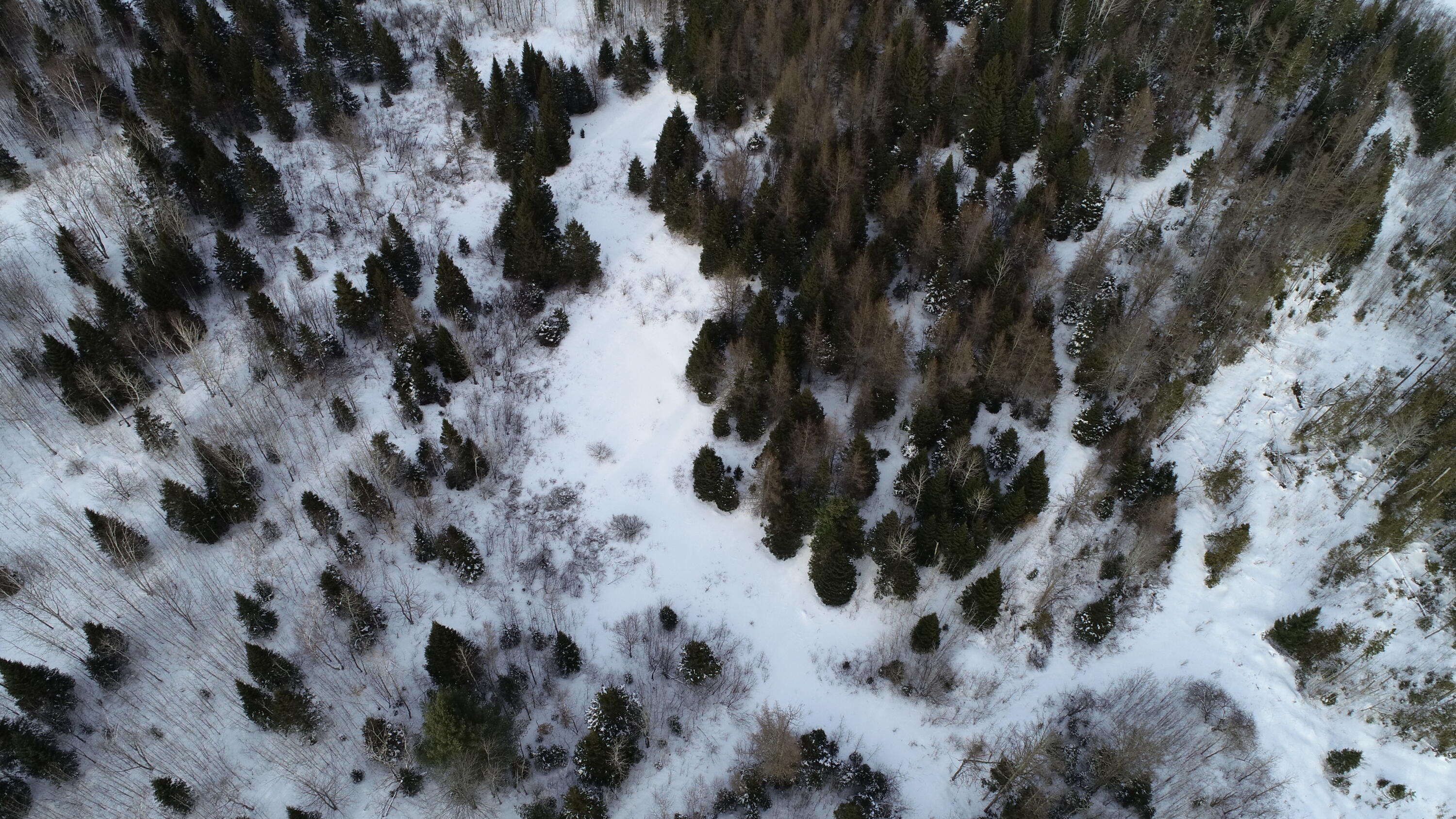 496 Fullerton Road Monticello, ME 04760 - Photo 28 of 30 DJI_0088