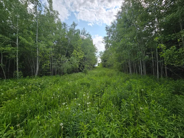 $99,500 | 496 Fullerton Road, Monticello, ME 04760