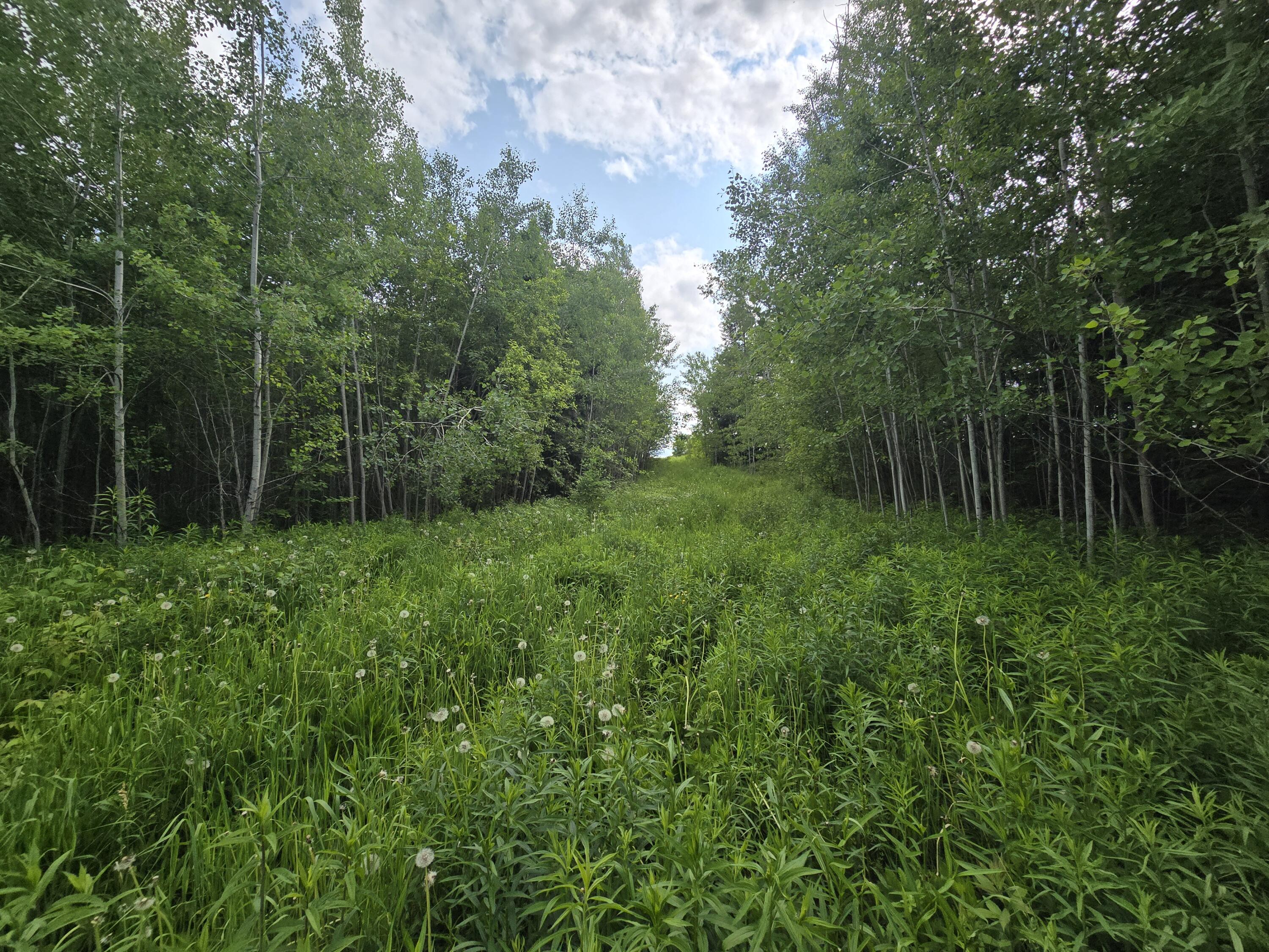 496 Fullerton Road Monticello, ME 04760 - Photo 4 of 30 20250613_155348(2)