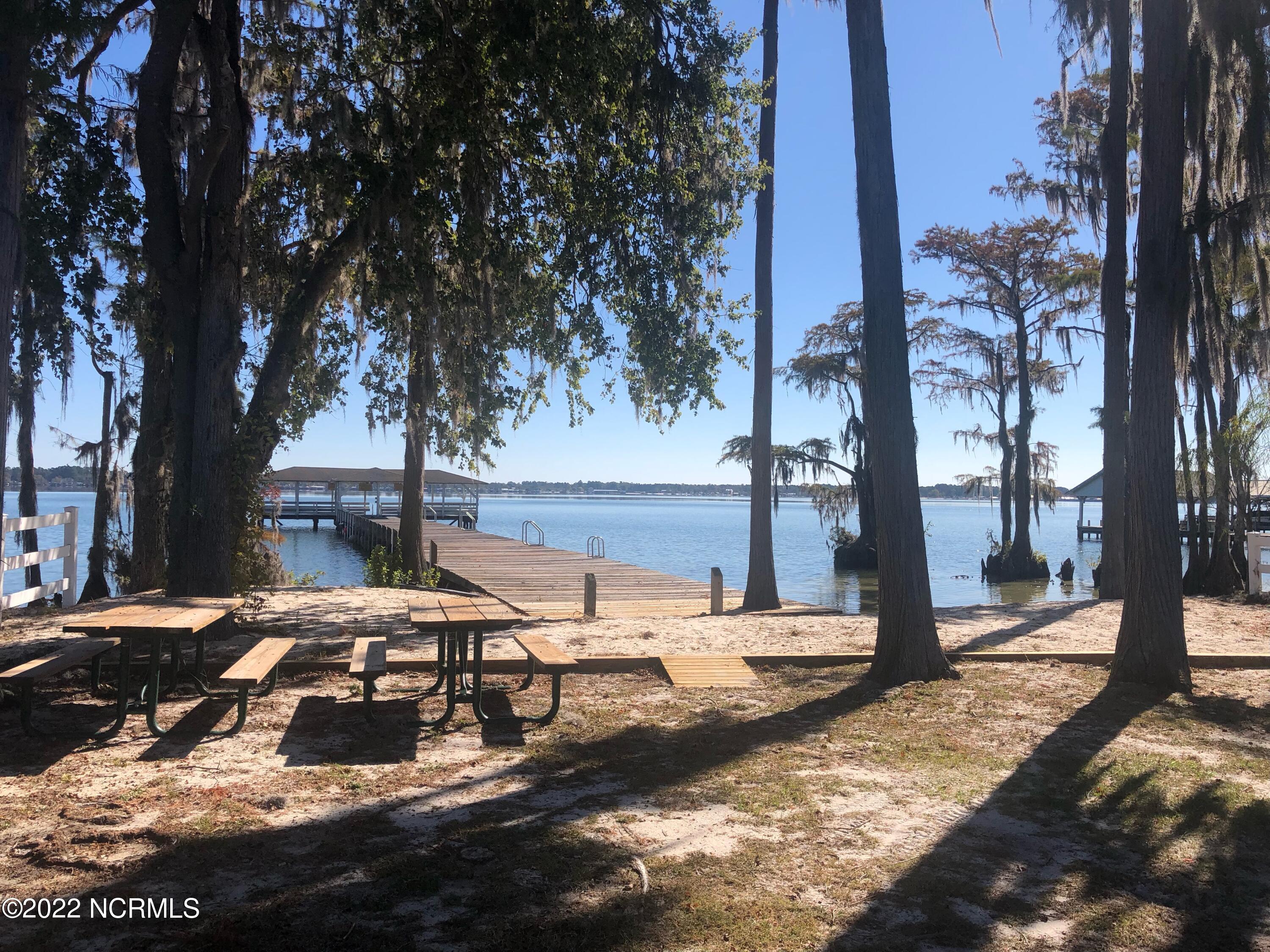 88 Wrexham Road Elizabethtown, NC 28337 - Photo 65 of 68 Community dock