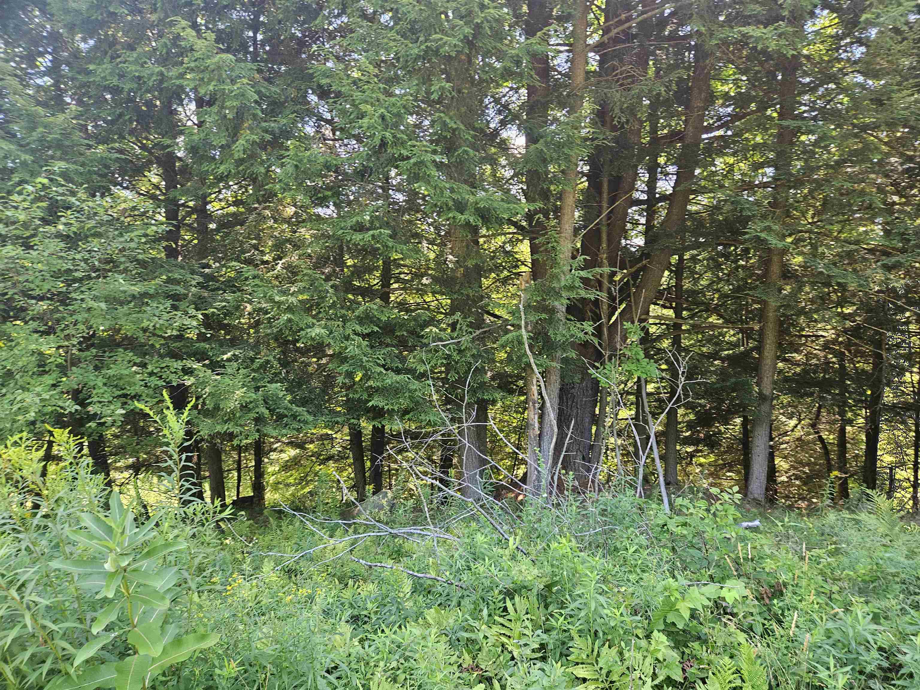 Lot 3.2 Off Parker Road Lisbon, NH 03585 - Photo 24 of 29 Gallery Image 24