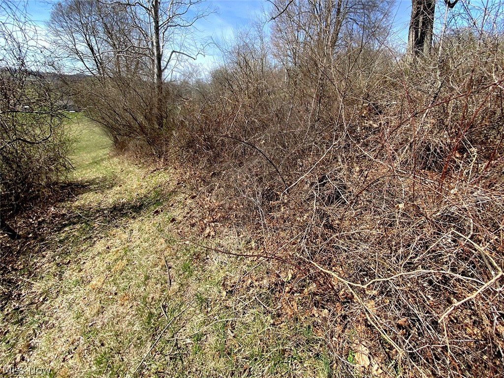 0 Township Road Coshocton, OH 43812 - Photo 4 of 24