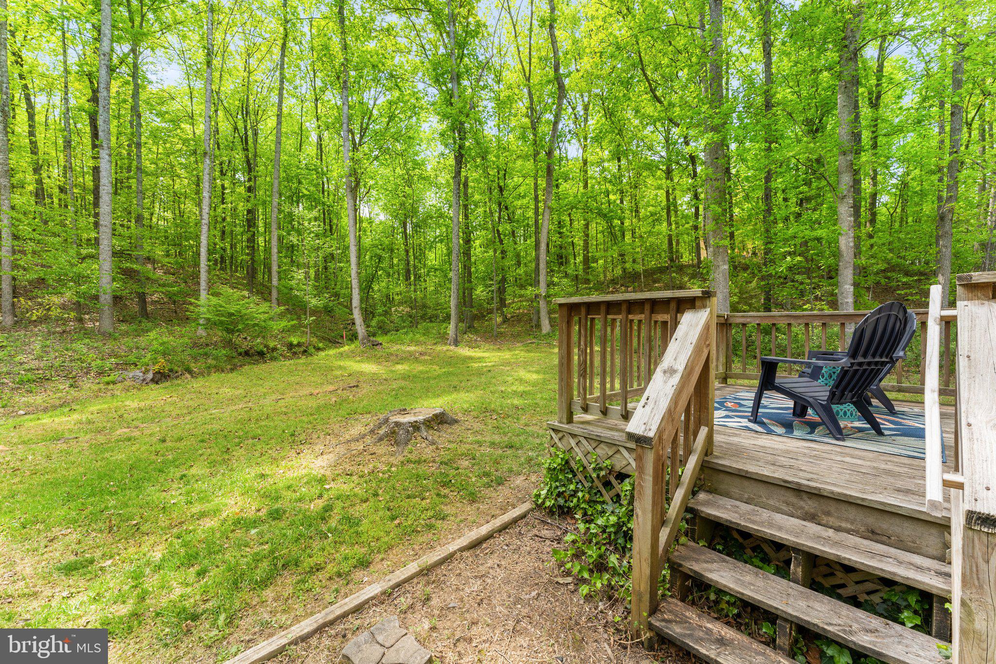 11432 Dutch Hollow Road Culpeper, VA 22701 - Photo 42 of 51