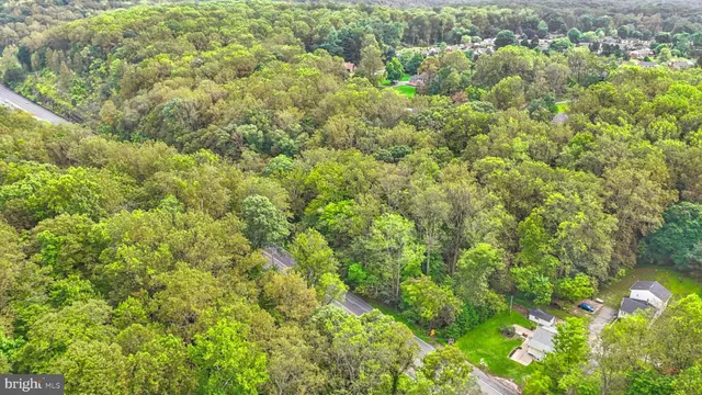 a view of a yard with plants