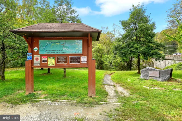 a view of a potted flower in a yard
