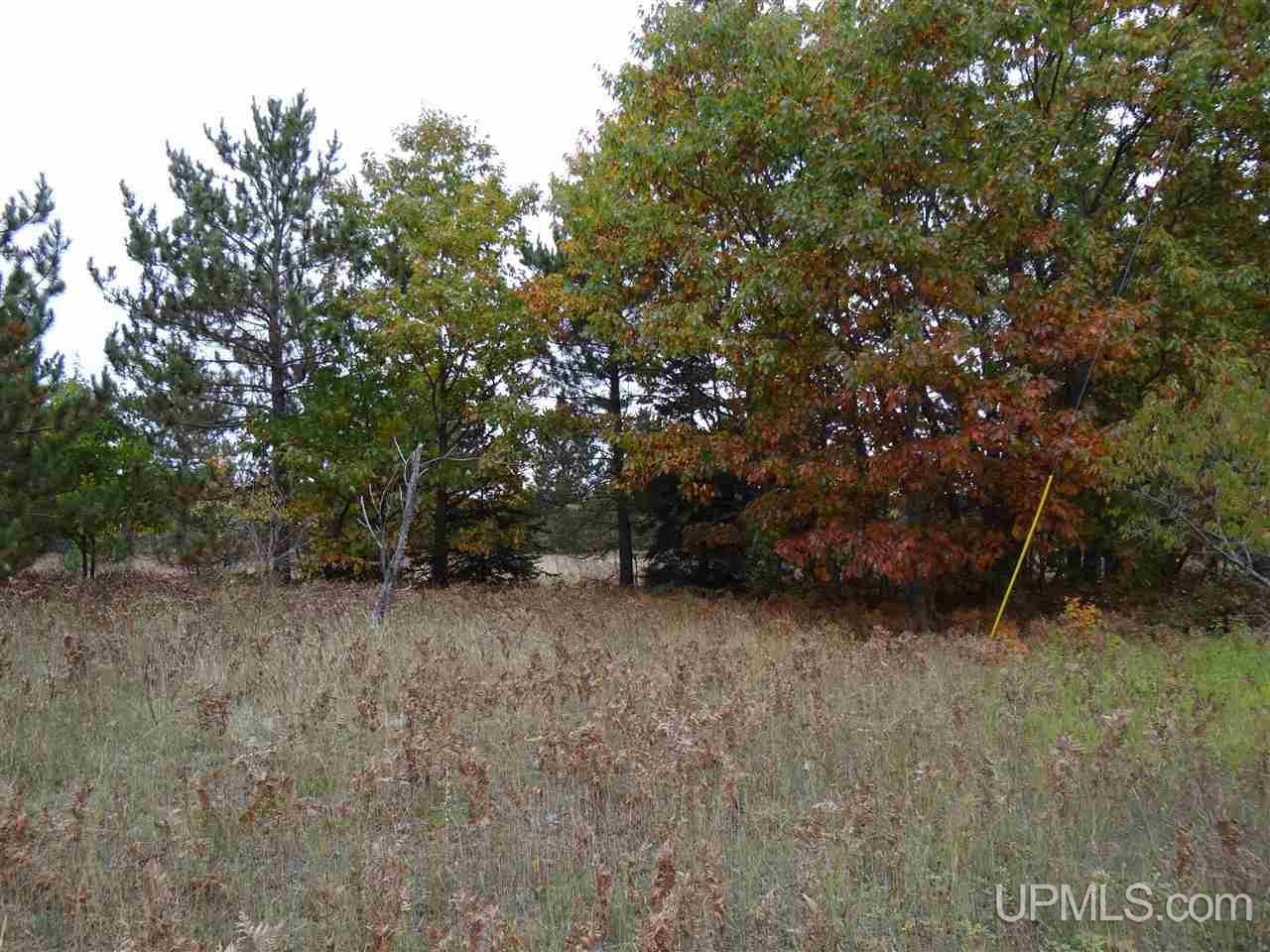 Tbd Traprock Valley Road Calumet, MI 49913 - Photo 4 of 17