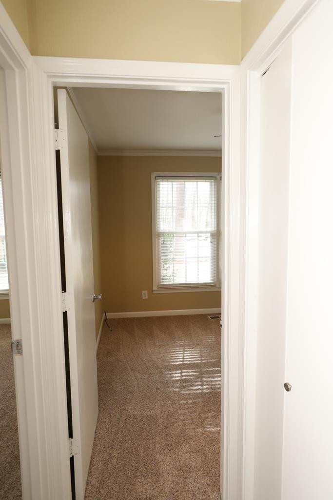 706 Fawn Circle Sumter, SC 29150 - Photo 11 of 74