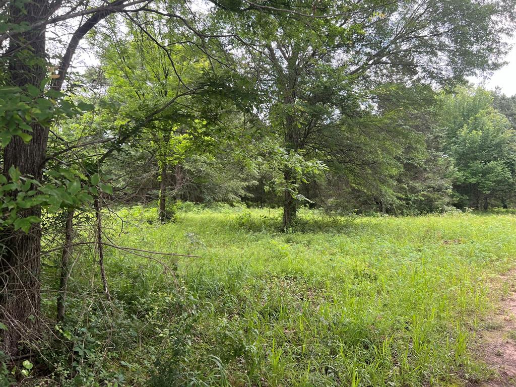 0 Northeast Loop 7 Athens, TX 75752 - Photo 1 of 1 View of nature