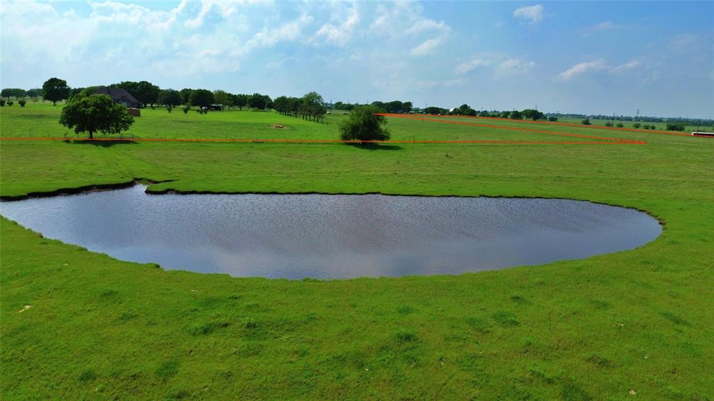 a view of a field with grass and trees