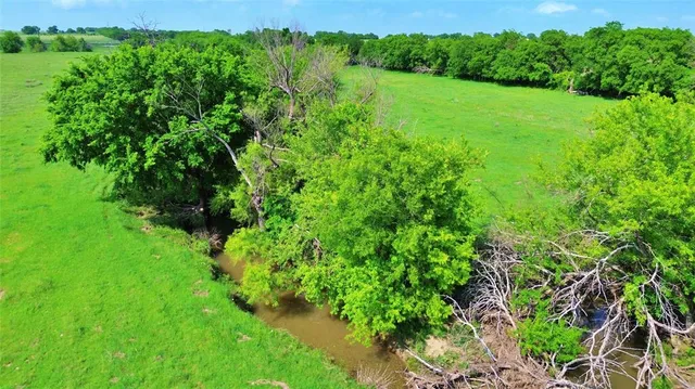 a view of a lush green space