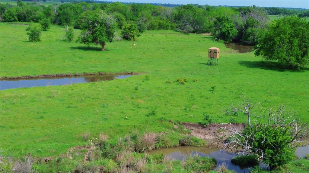 0 County Road 366 Era, TX 76238 - Photo 16 of 22