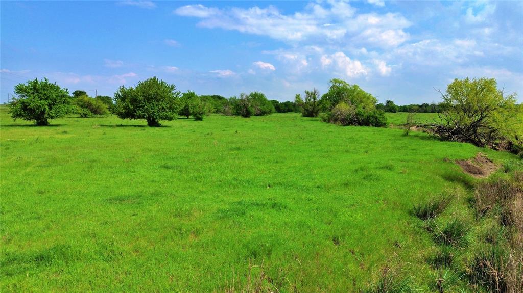 0 County Road 366 Era, TX 76238 - Photo 19 of 22 a view of a big yard with a large tree