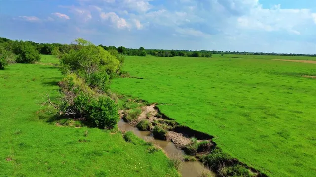 a view of a field of grass and trees