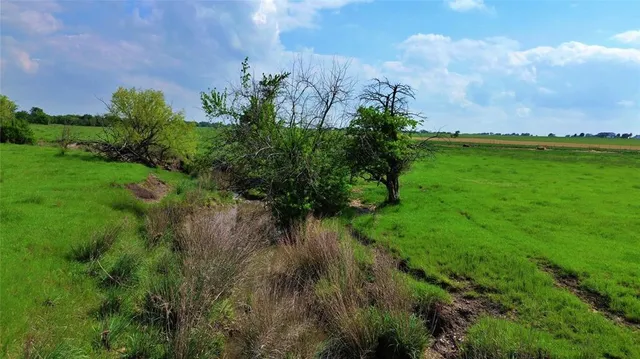 a view of a garden with a lake view