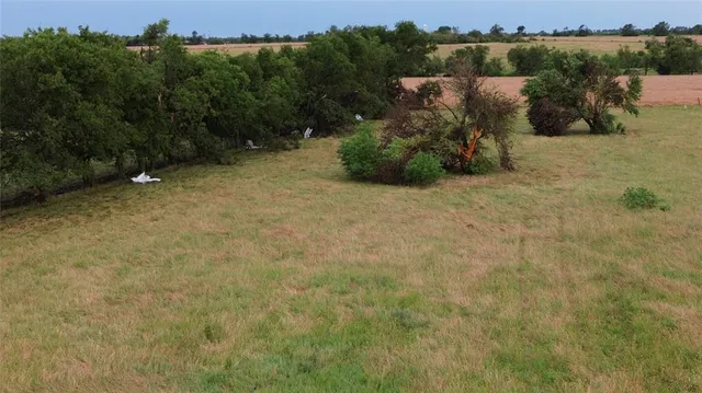 a view of a bunch of trees and bushes