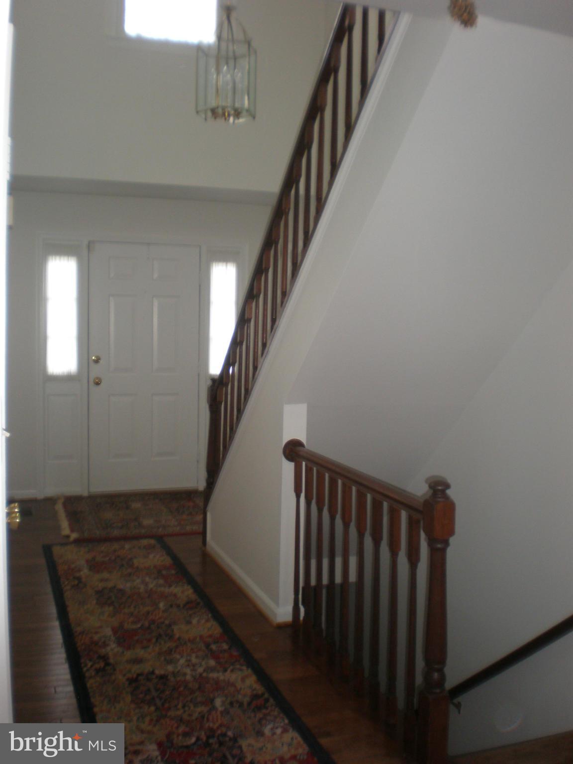 10412 Mountain Quail Road Silver Spring, MD 20901 - Photo 2 of 30 Welcome inside to freshly painted foyer and hall.
