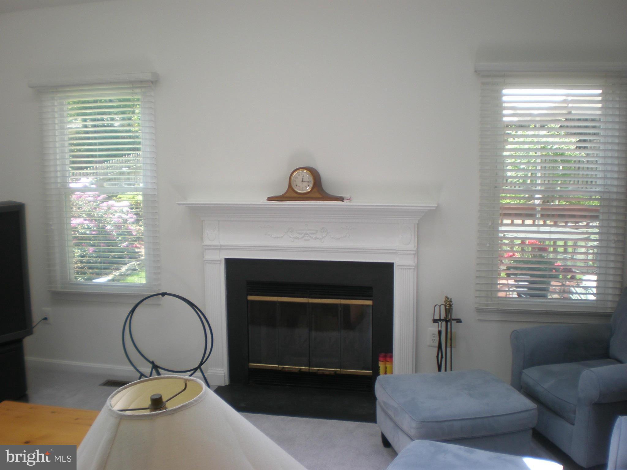 10412 Mountain Quail Road Silver Spring, MD 20901 - Photo 13 of 30 Family Room fireplace & custom mantle
