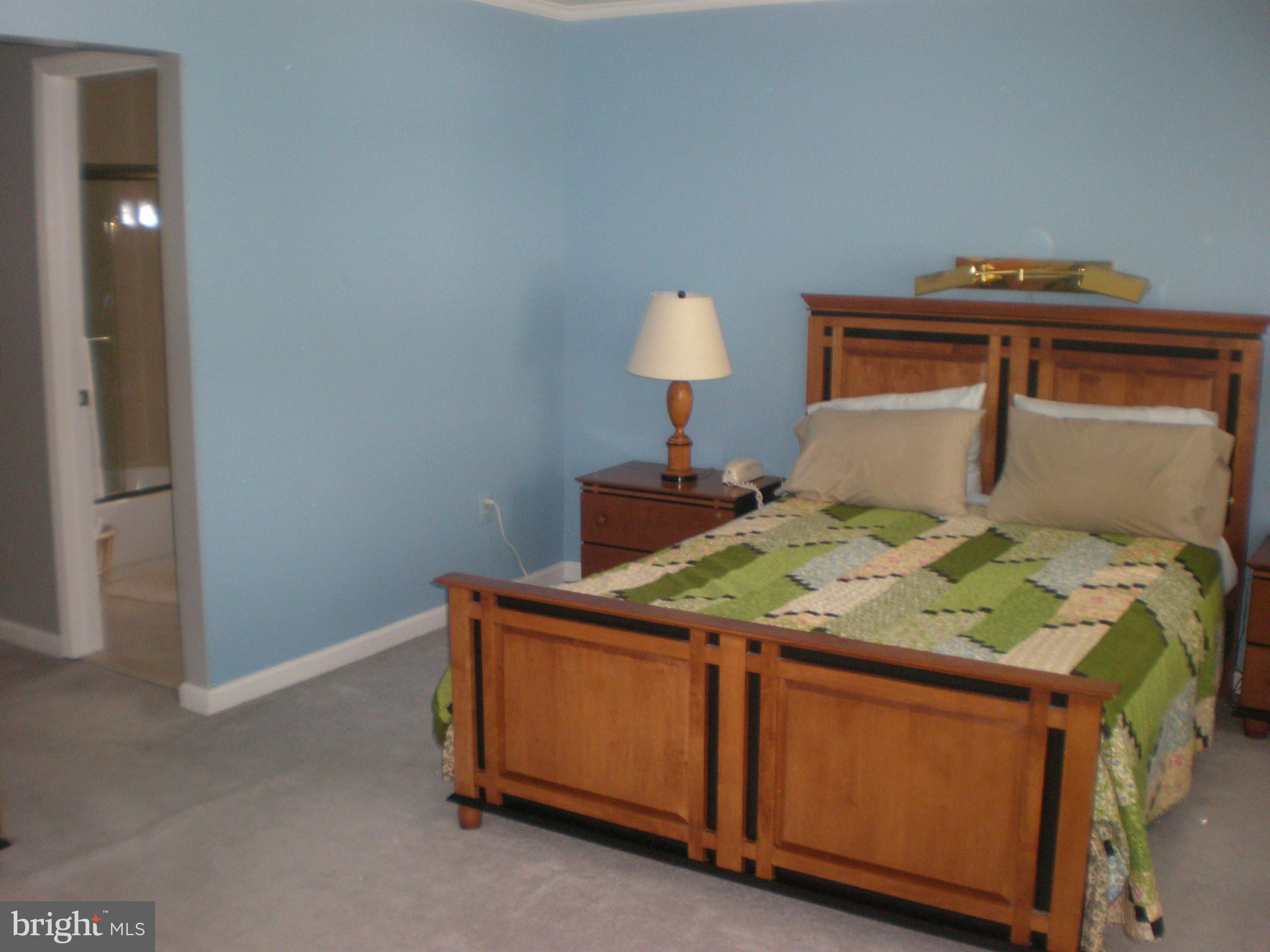 10412 Mountain Quail Road Silver Spring, MD 20901 - Photo 19 of 30 Owners Bedroom View leading to Bathroom