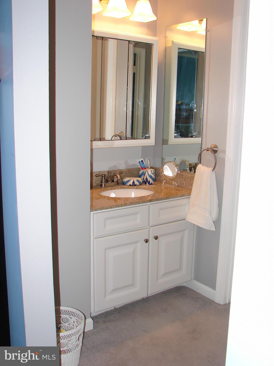 10412 Mountain Quail Road Silver Spring, MD 20901 - Photo 20 of 30 Separate Sinks for each Owner