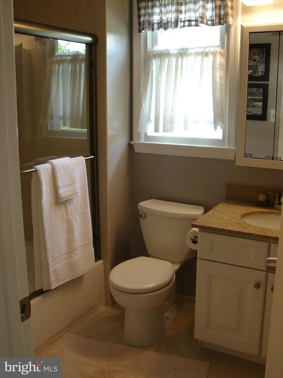 10412 Mountain Quail Road Silver Spring, MD 20901 - Photo 21 of 30 Sink # 2 with the Tub/Shower & Toilet