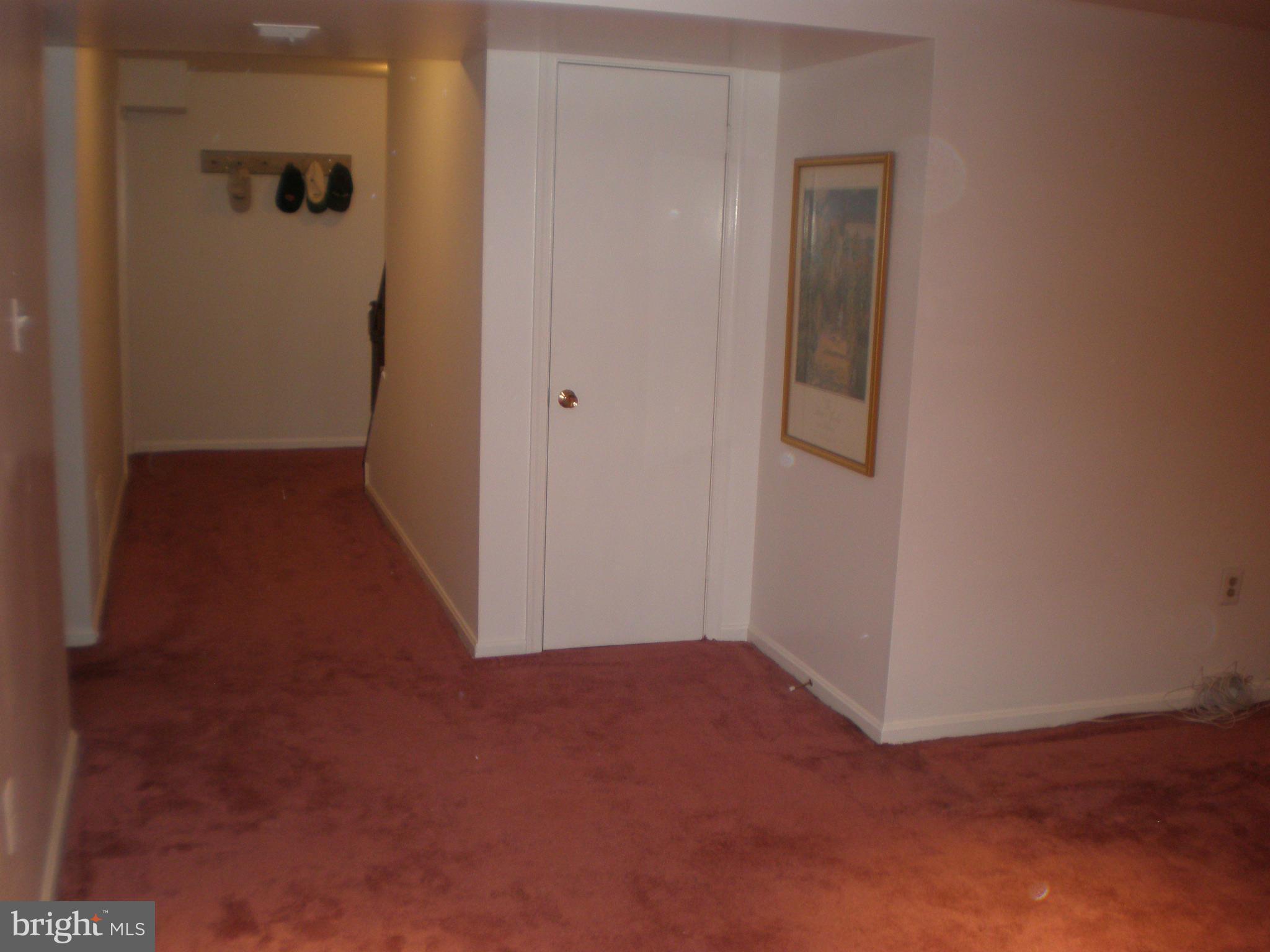 10412 Mountain Quail Road Silver Spring, MD 20901 - Photo 22 of 30 Basement Entry View