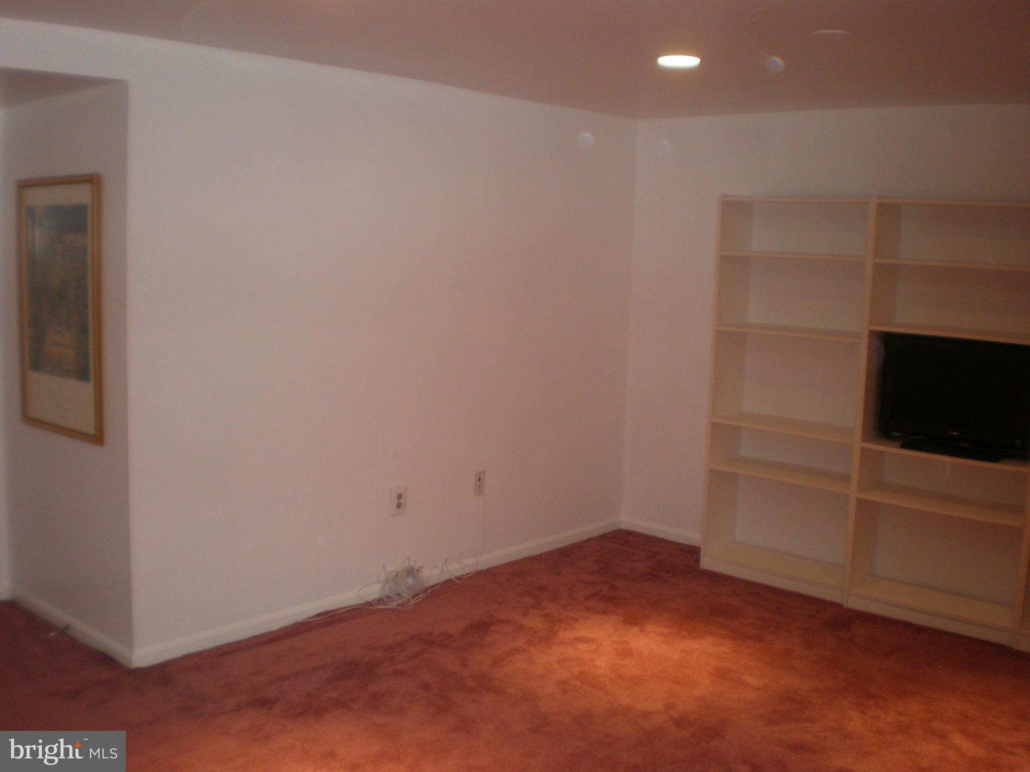 10412 Mountain Quail Road Silver Spring, MD 20901 - Photo 23 of 30 Basement View # 2