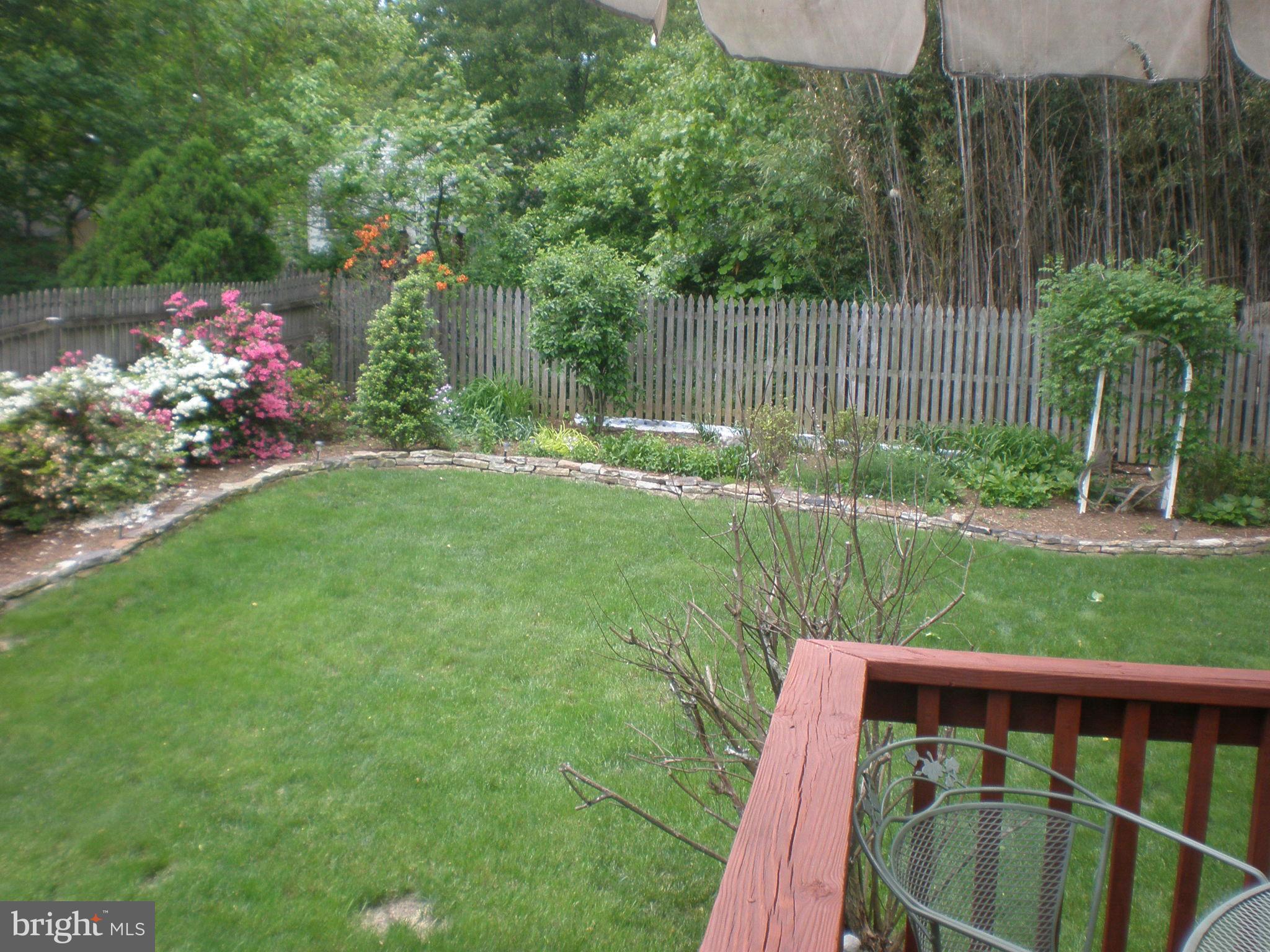10412 Mountain Quail Road Silver Spring, MD 20901 - Photo 27 of 30 Manicured/Landscaped Back Yard View