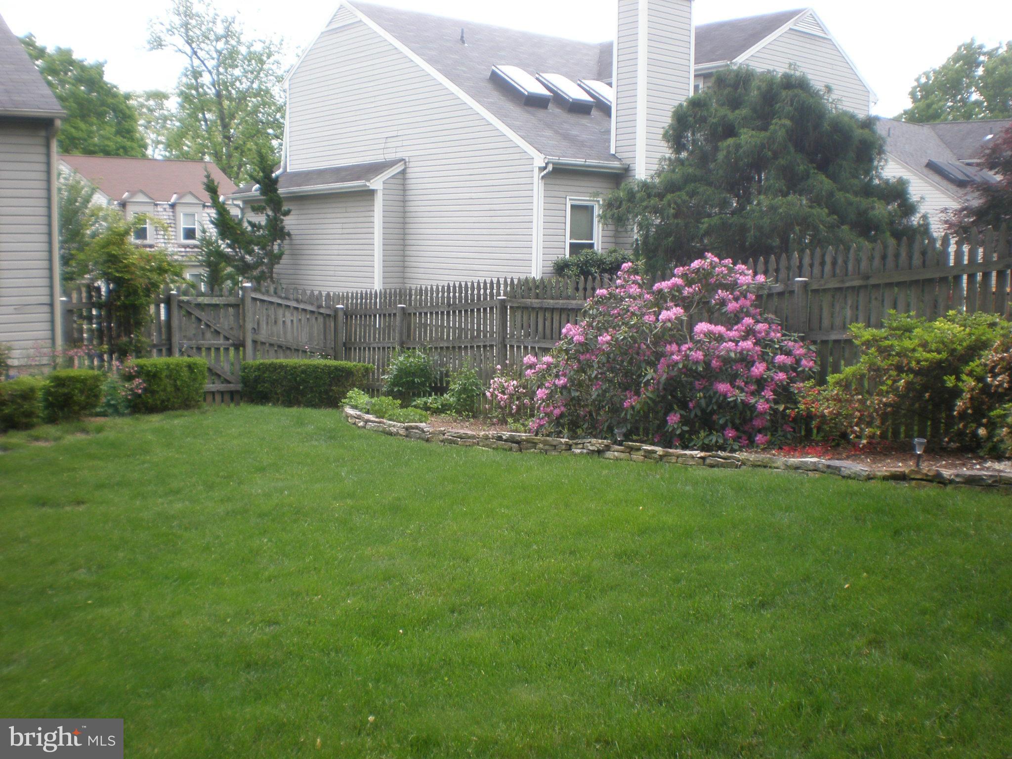 10412 Mountain Quail Road Silver Spring, MD 20901 - Photo 28 of 30 Beautiful & Well-Maintained Back Yard View