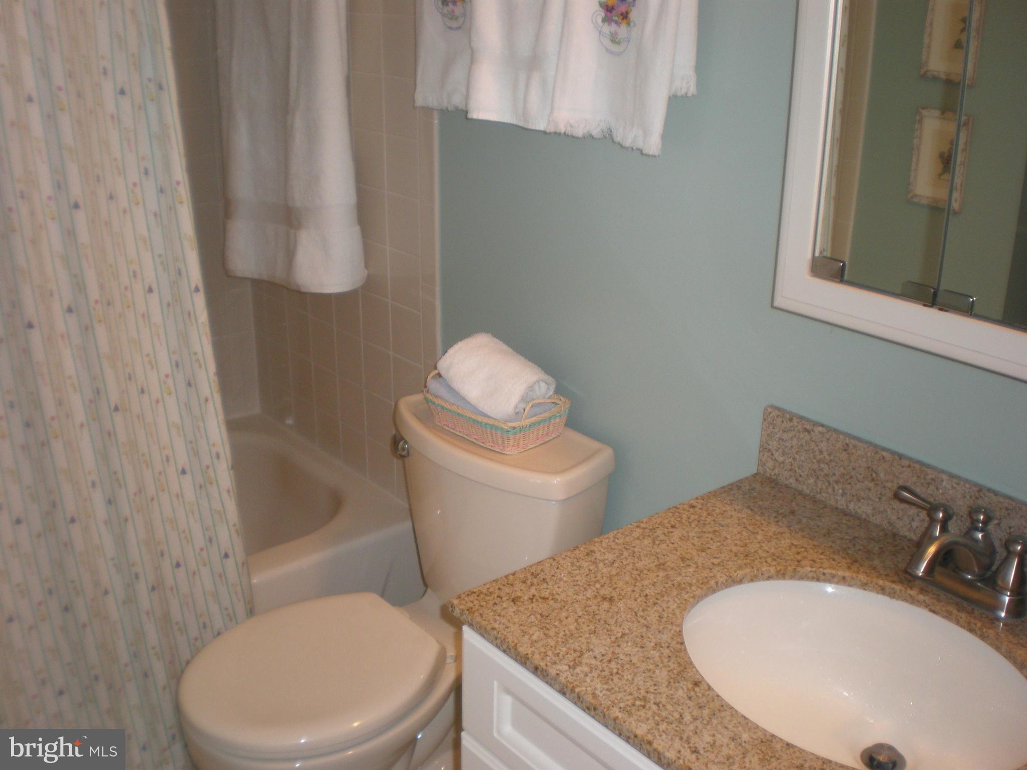 10412 Mountain Quail Road Silver Spring, MD 20901 - Photo 5 of 30 Main level FULL Bath-the 1st of 4 updated baths!