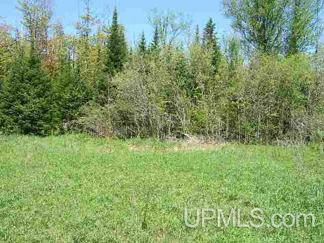 Tbd East Cold Springs Road Chatham, MI 49816 - Photo 5 of 21
