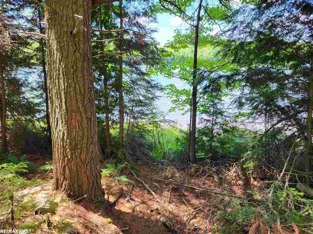 0 Engman Lake Access Road Skandia, MI 49885 - Photo 6 of 17
